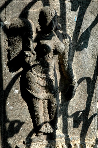 You have reached the last slide